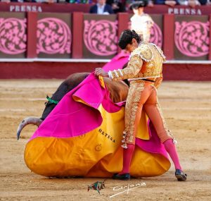 Fortes y Roca Rey triunfan en una histórica Corrida Pocassiana