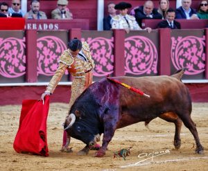 Fortes y Roca Rey triunfan en una histórica Corrida Picassiana