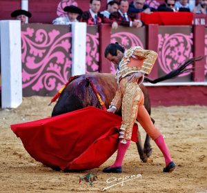 Fortes y Roca Rey triunfan en una histórica Corrida Picassiana