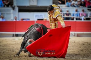 Debut triunfal de Fernando Adrián en Arles