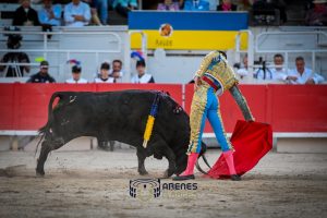 Debut triunfal de Fernando Adrián en Arles