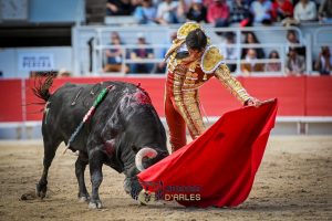Debut triunfal de Fernando Adrián en Arles