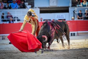 Debut triunfal de Fernando Adrián en Arles