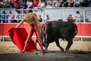 Debut triunfal de Fernando Adrián en Arles