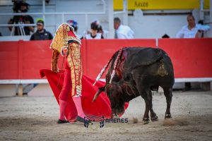 Debut triunfal de Fernando Adrián en Arles