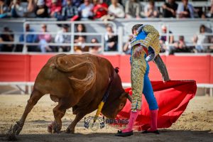 Debut triunfal de Fernando Adrián en Arles