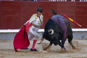 Luis Gerpe da una vuelta al ruedo en Las Ventas