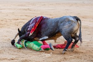 Luis Gerpe da una vuelta al ruedo en Las Ventas