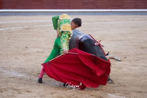 Luis Gerpe da una vuelta al ruedo en Las Ventas