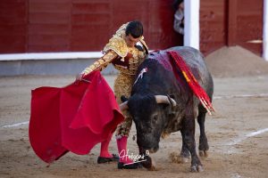 Luis Gerpe da una vuelta al ruedo en Las Ventas
