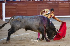 Luis Gerpe da una vuelta al ruedo en Las Ventas