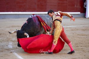 Luis Gerpe da una vuelta al ruedo en Las Ventas