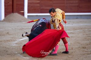 Luis Gerpe da una vuelta al ruedo en Las Ventas