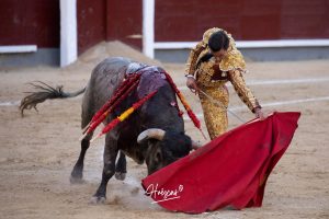 Luis Gerpe da una vuelta al ruedo en Las Ventas