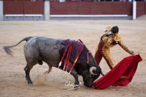 Luis Gerpe da una vuelta al ruedo en Las Ventas