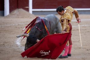 Luis Gerpe da una vuelta al ruedo en Las Ventas