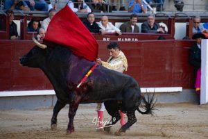 Luis Gerpe da una vuelta al ruedo en Las Ventas