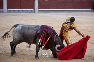 Luis Gerpe da una vuelta al ruedo en Las Ventas