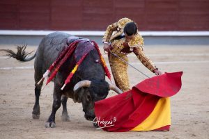 Luis Gerpe da una vuelta al ruedo en Las Ventas