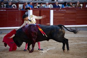 Luis Gerpe da una vuelta al ruedo en Las Ventas