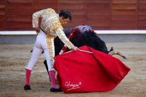 Luis Gerpe da una vuelta al ruedo en Las Ventas