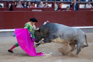 Luis Gerpe da una vuelta al ruedo en Las Ventas