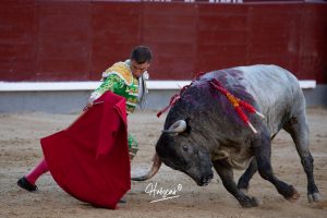 Luis Gerpe da una vuelta al ruedo en Las Ventas