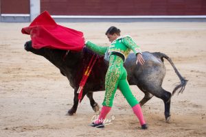 Luis Gerpe da una vuelta al ruedo en Las Ventas