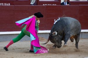 Luis Gerpe da una vuelta al ruedo en Las Ventas