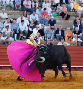 Oreja de mucho peso de Lama de Góngora en Sevilla