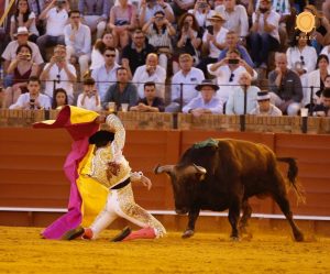 Oreja de mucho peso de Lama de Góngora en Sevilla