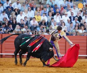 Oreja de mucho peso de Lama de Góngora en Sevilla