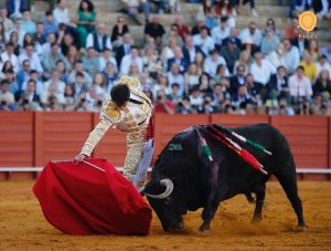 Oreja de mucho peso de Lama de Góngora en Sevilla