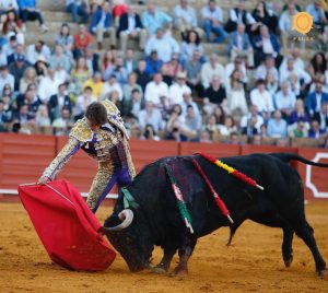 Oreja de mucho peso de Lama de Góngora en Sevilla