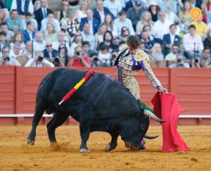 Oreja de mucho peso de Lama de Góngora en Sevilla