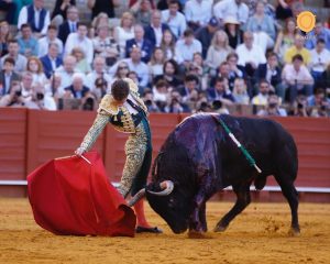 Oreja de mucho peso de Lama de Góngora en Sevilla