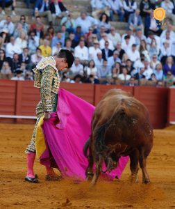 Oreja de mucho peso de Lama de Góngora en Sevilla