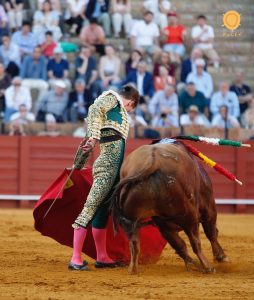 Oreja de mucho peso de Lama de Góngora en Sevilla