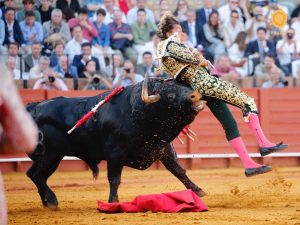 Un esforzado Román marida con los toros de Jerez