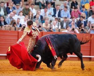 Un esforzado Román Marida con los toros de Jerez