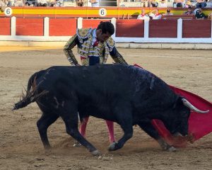 Antonio Ferrera y Emilio de Justo, puerta grande en Mérida