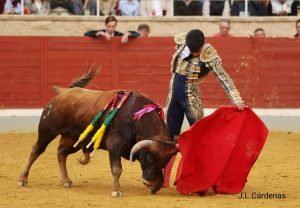 Alejandro Rubio, única oreja en Villaseca de la Sagra