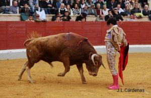 Alejandro Rubio, única oreja en Villaseca de la Sagra