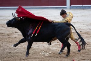 Vuelta al ruedo de Miguel Andrades en Madrid