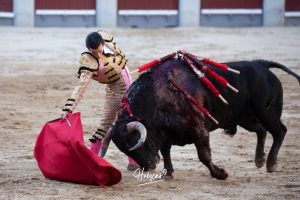 Vuelta al ruedo de Miguel Andrades en Madrid
