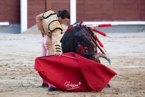 Vuelta al ruedo de Miguel Andrades en Madrid