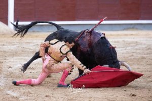 Vuelta al ruedo de Miguel Andrades en Madrid