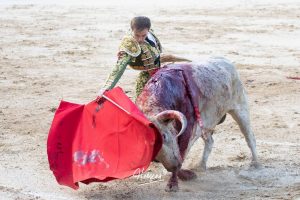 Vuelta al ruedo de Miguel Andrades en Madrid