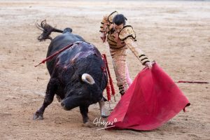 Vuelta al ruedo de Miguel Andrades en Madrid