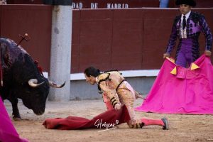 Vuelta al ruedo de Miguel Andrades en Madrid